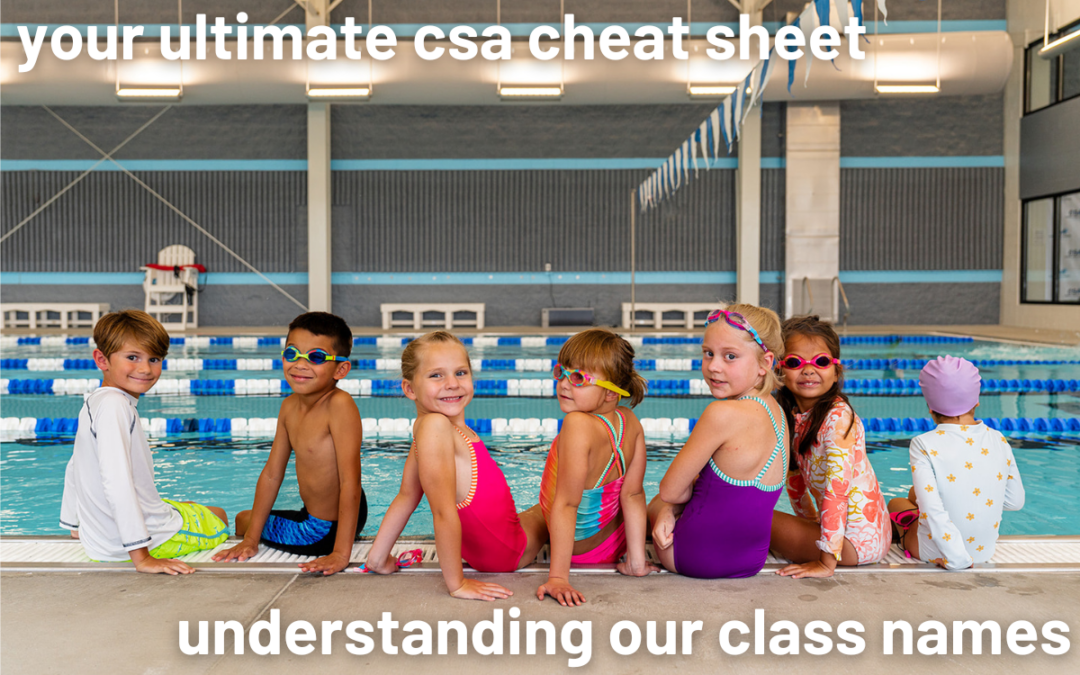 CSA Curriculum: Diving into our Levels + Names